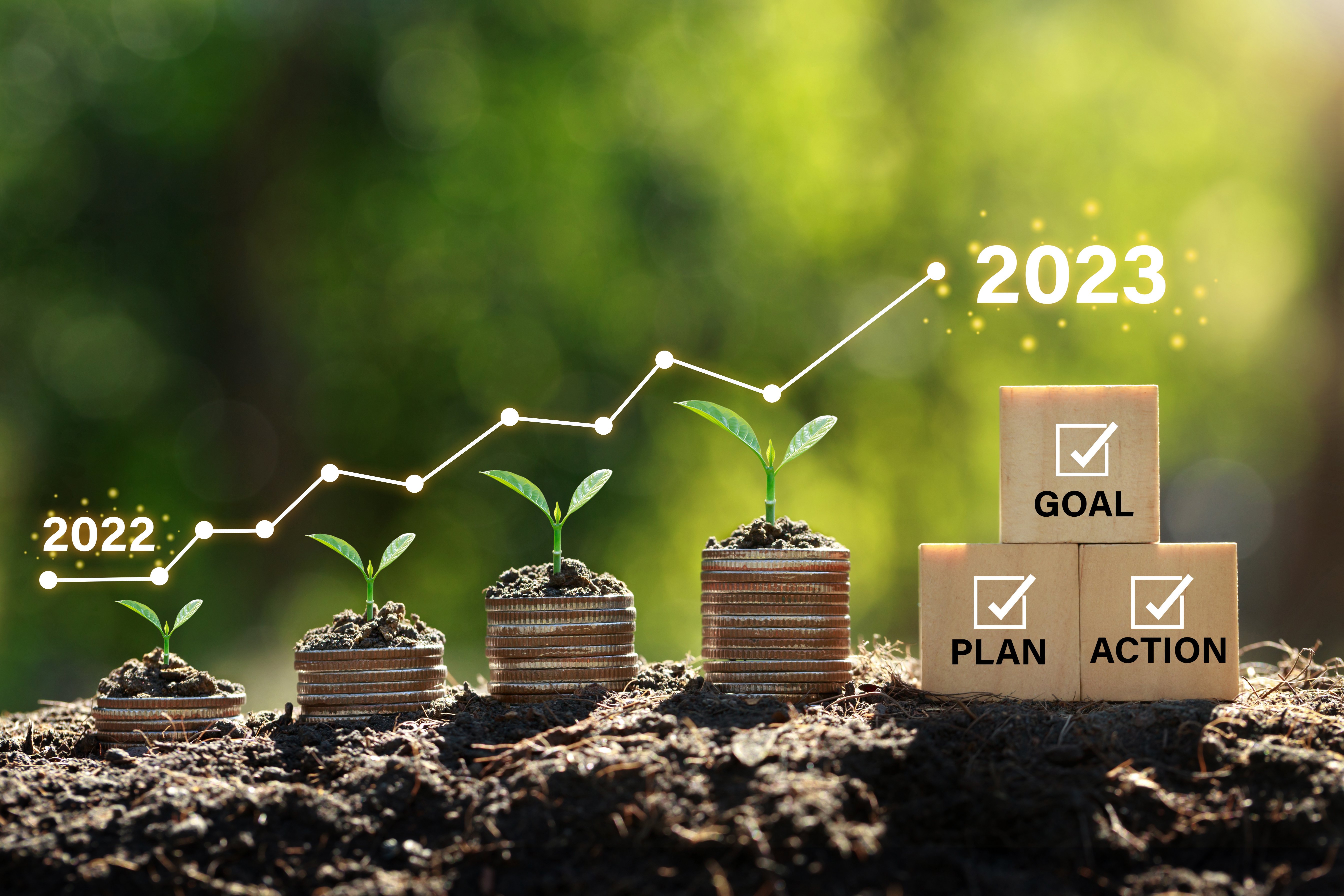 Have a Happier Financial New Year Through Conservation